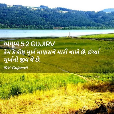 Picture 02 - અયૂબ 5:2 GUJIRV - કેમ કે ક્રોધ મૂર્ખ - Bible Verse Picture