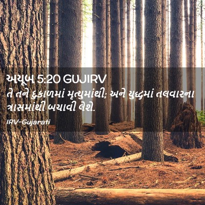 Picture 02 - અયૂબ 5:20 GUJIRV - તે તને દુકાળમાં - Bible Verse Picture