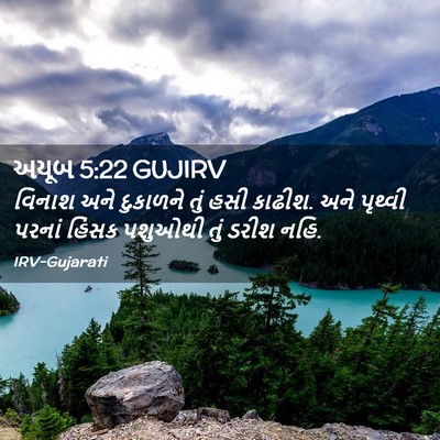 Picture 02 - અયૂબ 5:22 GUJIRV - વિનાશ અને દુકાળને - Bible Verse Picture