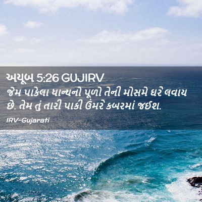 Picture 02 - અયૂબ 5:26 GUJIRV - જેમ પાકેલા - Bible Verse Picture