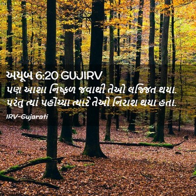 Picture 02 - અયૂબ 6:20 GUJIRV - પણ આશા નિષ્ફળ - Bible Verse Picture