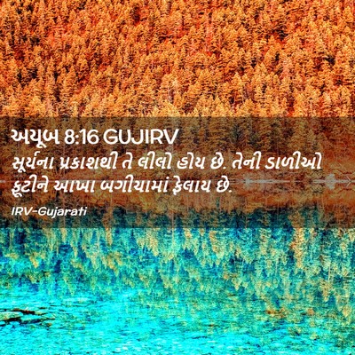 Picture 02 - અયૂબ 8:16 GUJIRV - સૂર્યના પ્રકાશથી - Bible Verse Picture