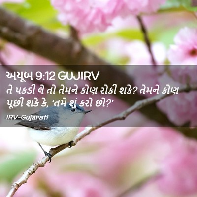 Picture 02 - અયૂબ 9:12 GUJIRV - તે પકડી લે તો તેમને - Bible Verse Picture