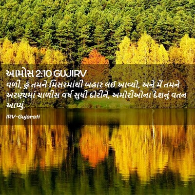 Picture 02 - આમોસ 2:10 GUJIRV - વળી, હું તમને - Bible Verse Picture