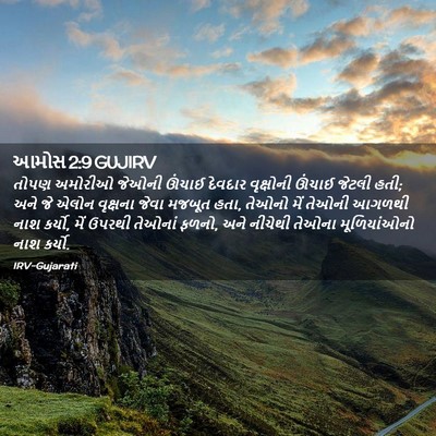 Picture 02 - આમોસ 2:9 GUJIRV - તોપણ અમોરીઓ જેઓની - Bible Verse Picture