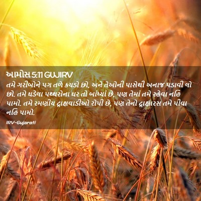 Picture 02 - આમોસ 5:11 GUJIRV - તમે ગરીબોને પગ તળે - Bible Verse Picture