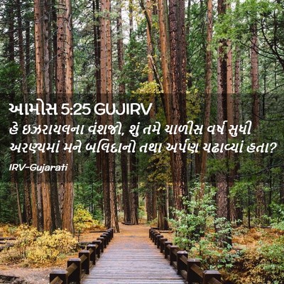 Picture 02 - આમોસ 5:25 GUJIRV - હે ઇઝરાયલના વંશજો, - Bible Verse Picture