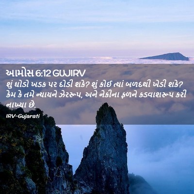 Picture 02 - આમોસ 6:12 GUJIRV - શું ઘોડો ખડક પર - Bible Verse Picture