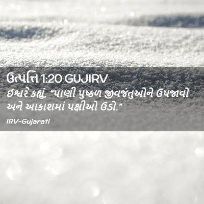 Picture 02 - ઉત્પત્તિ 1:20 GUJIRV - ઈશ્વરે કહ્યું, - Bible Verse Picture