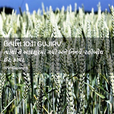 Picture 02 - ઉત્પત્તિ 10:11 GUJIRV - ત્યાંથી તે - Bible Verse Picture