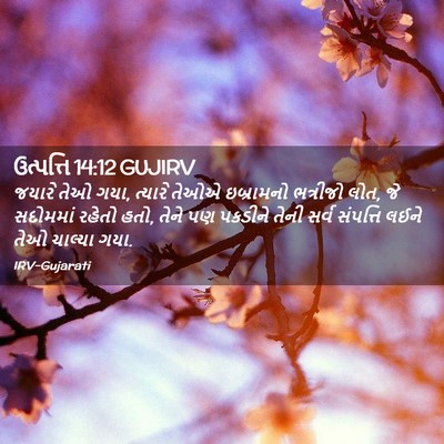 Picture 02 - ઉત્પત્તિ 14:12 GUJIRV - જયારે તેઓ ગયા, - Bible Verse Picture