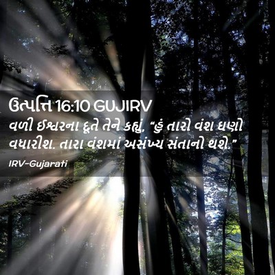 Picture 02 - ઉત્પત્તિ 16:10 GUJIRV - વળી ઈશ્વરના દૂતે - Bible Verse Picture