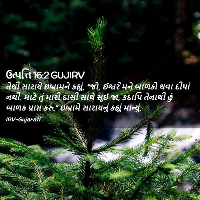 Picture 02 - ઉત્પત્તિ 16:2 GUJIRV - તેથી સારાયે - Bible Verse Picture