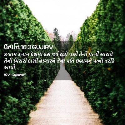 Picture 02 - ઉત્પત્તિ 16:3 GUJIRV - ઇબ્રામ કનાન - Bible Verse Picture