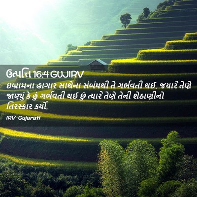 Picture 02 - ઉત્પત્તિ 16:4 GUJIRV - ઇબ્રામના હાગાર - Bible Verse Picture