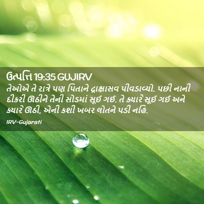 Picture 02 - ઉત્પત્તિ 19:35 GUJIRV - તેઓએ તે રાત્રે પણ - Bible Verse Picture