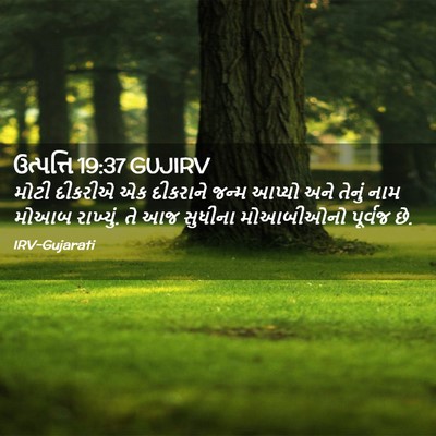 Picture 02 - ઉત્પત્તિ 19:37 GUJIRV - મોટી દીકરીએ એક - Bible Verse Picture