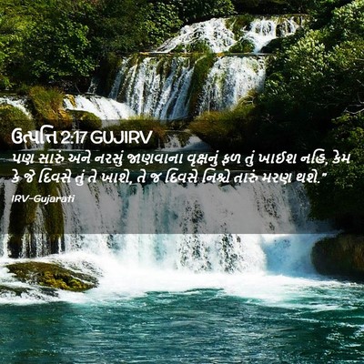Picture 02 - ઉત્પત્તિ 2:17 GUJIRV - પણ સારું અને નરસું - Bible Verse Picture