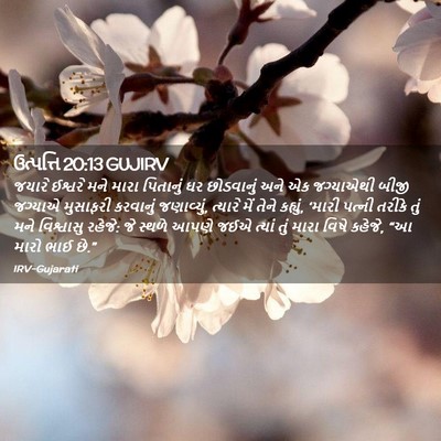 Picture 02 - ઉત્પત્તિ 20:13 GUJIRV - જયારે ઈશ્વરે મને - Bible Verse Picture