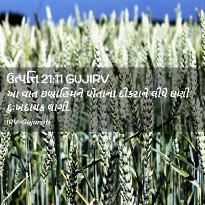 Picture 02 - ઉત્પત્તિ 21:11 GUJIRV - આ વાત ઇબ્રાહિમને - Bible Verse Picture