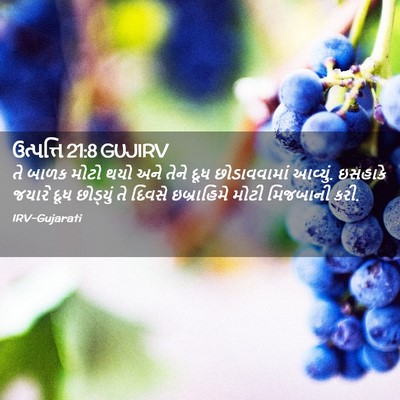 Picture 02 - ઉત્પત્તિ 21:8 GUJIRV - તે બાળક મોટો થયો - Bible Verse Picture