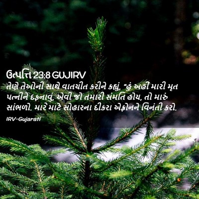 Picture 02 - ઉત્પત્તિ 23:8 GUJIRV - તેણે તેઓની સાથે - Bible Verse Picture