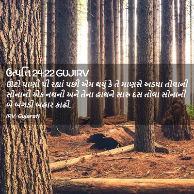 Picture 02 - ઉત્પત્તિ 24:22 GUJIRV - ઊંટો પાણી પી - Bible Verse Picture