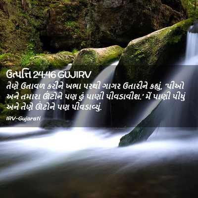 Picture 02 - ઉત્પત્તિ 24:46 GUJIRV - તેણે ઉતાવળ કરીને - Bible Verse Picture