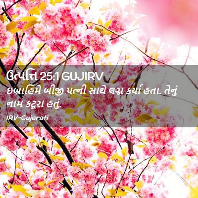 Picture 02 - ઉત્પત્તિ 25:1 GUJIRV - ઇબ્રાહિમે બીજી - Bible Verse Picture