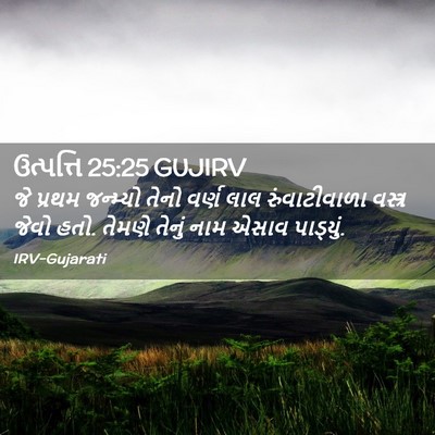 Picture 02 - ઉત્પત્તિ 25:25 GUJIRV - જે પ્રથમ જન્મ્યો - Bible Verse Picture