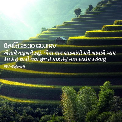 Picture 02 - ઉત્પત્તિ 25:30 GUJIRV - એસાવે યાકૂબને - Bible Verse Picture