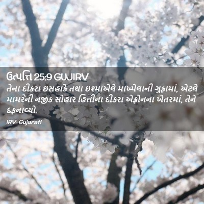 Picture 02 - ઉત્પત્તિ 25:9 GUJIRV - તેના દીકરા ઇસહાકે - Bible Verse Picture