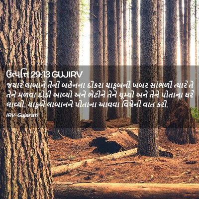 Picture 02 - ઉત્પત્તિ 29:13 GUJIRV - જયારે લાબાને તેની - Bible Verse Picture