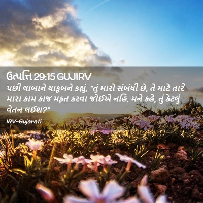 Picture 02 - ઉત્પત્તિ 29:15 GUJIRV - પછી લાબાને - Bible Verse Picture