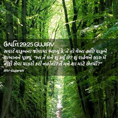 Picture 02 - ઉત્પત્તિ 29:25 GUJIRV - સવારે યાકૂબના - Bible Verse Picture