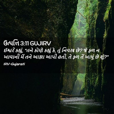 Picture 02 - ઉત્પત્તિ 3:11 GUJIRV - ઈશ્વરે કહ્યું, - Bible Verse Picture