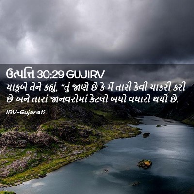 Picture 02 - ઉત્પત્તિ 30:29 GUJIRV - યાકૂબે તેને - Bible Verse Picture