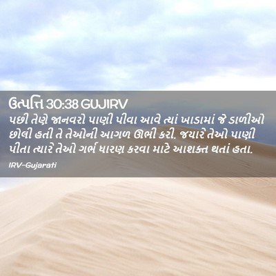Picture 02 - ઉત્પત્તિ 30:38 GUJIRV - પછી તેણે જાનવરો - Bible Verse Picture
