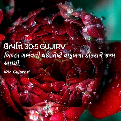 Picture 02 - ઉત્પત્તિ 30:5 GUJIRV - બિલ્હા ગર્ભવતી થઈ. - Bible Verse Picture