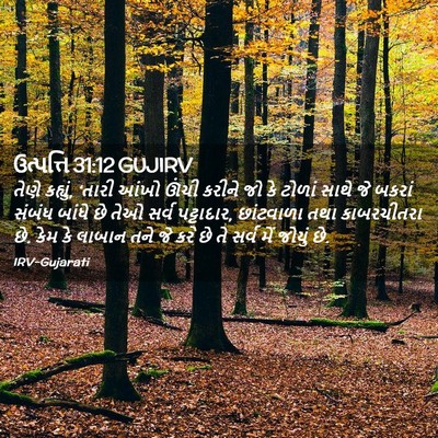 Picture 02 - ઉત્પત્તિ 31:12 GUJIRV - તેણે કહ્યું, ‘તારી - Bible Verse Picture