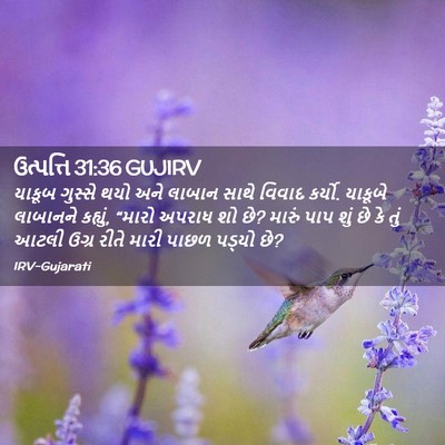 Picture 02 - ઉત્પત્તિ 31:36 GUJIRV - યાકૂબ ગુસ્સે થયો - Bible Verse Picture