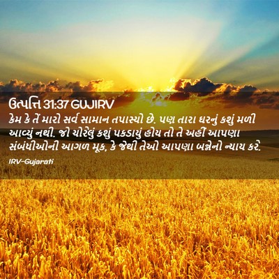 Picture 02 - ઉત્પત્તિ 31:37 GUJIRV - કેમ કે તેં મારો - Bible Verse Picture