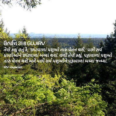 Picture 02 - ઉત્પત્તિ 31:8 GUJIRV - તેણે કહ્યું હતું - Bible Verse Picture