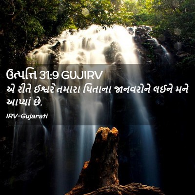 Picture 02 - ઉત્પત્તિ 31:9 GUJIRV - એ રીતે ઈશ્વરે - Bible Verse Picture