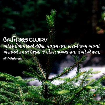 Picture 02 - ઉત્પત્તિ 36:5 GUJIRV - ઓહોલીબામાહએ યેઉશ, - Bible Verse Picture