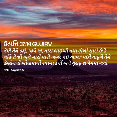 Picture 02 - ઉત્પત્તિ 37:14 GUJIRV - તેણે તેને કહ્યું, - Bible Verse Picture