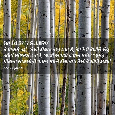 Picture 02 - ઉત્પત્તિ 37:17 GUJIRV - તે માણસે કહ્યું, - Bible Verse Picture