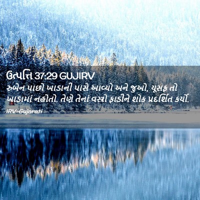 Picture 02 - ઉત્પત્તિ 37:29 GUJIRV - રુબેન પાછો ખાડાની - Bible Verse Picture