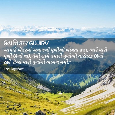Picture 02 - ઉત્પત્તિ 37:7 GUJIRV - આપણે ખેતરમાં - Bible Verse Picture