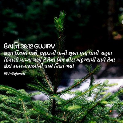 Picture 02 - ઉત્પત્તિ 38:12 GUJIRV - ઘણાં દિવસો પછી, - Bible Verse Picture